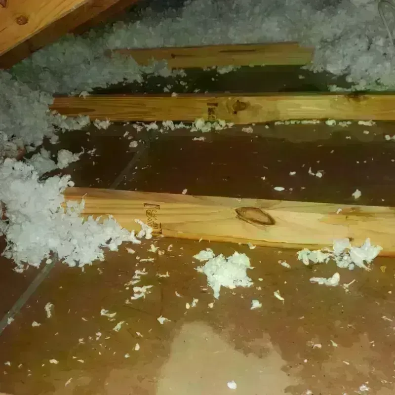 Attic Water Damage in Aptos, CA